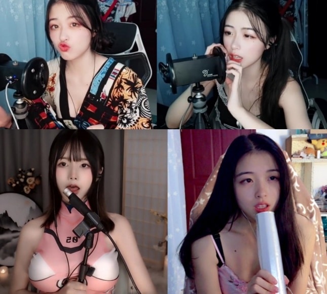 斗鱼主播渔子溪定制ASMR女仆哄睡口腔耳语恶龙咆哮等9部追档[2.54G]