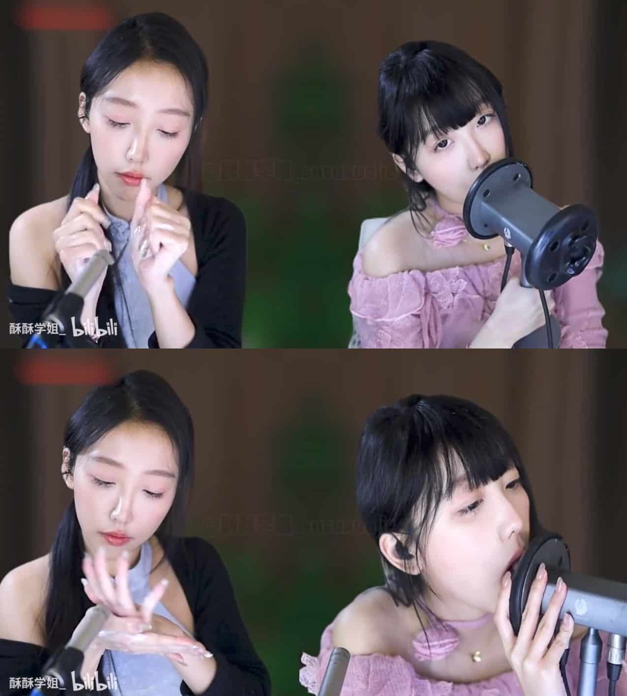【ASMR音声】酥酥学姐 B站充电会员视频芦荟胶和舔耳[317M]