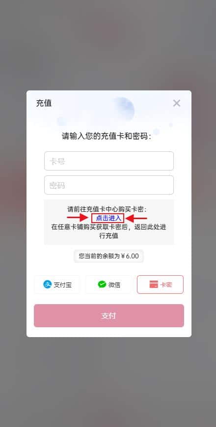 手机端使用【卡密】方式充值插图4